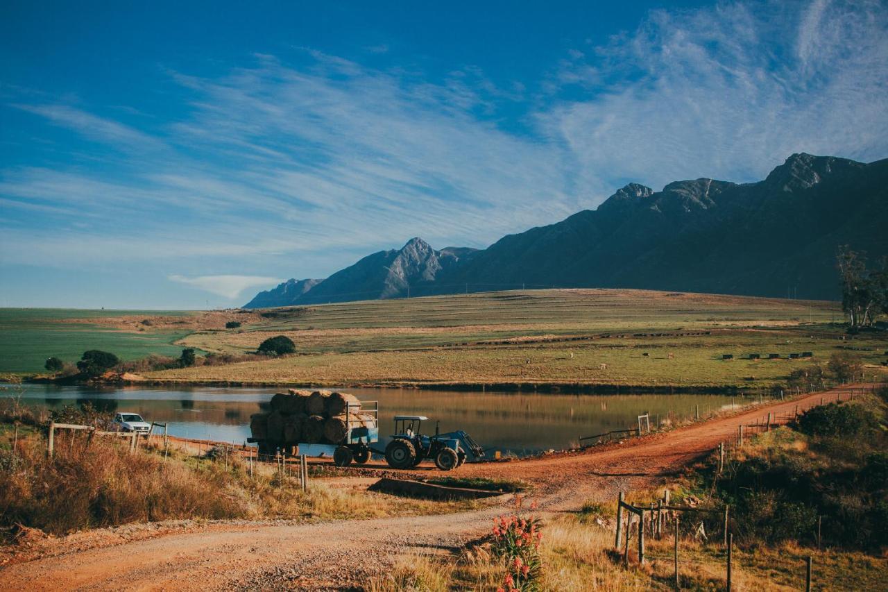 Vila Appelsbosch Guest Farm Swellendam Exteriér fotografie