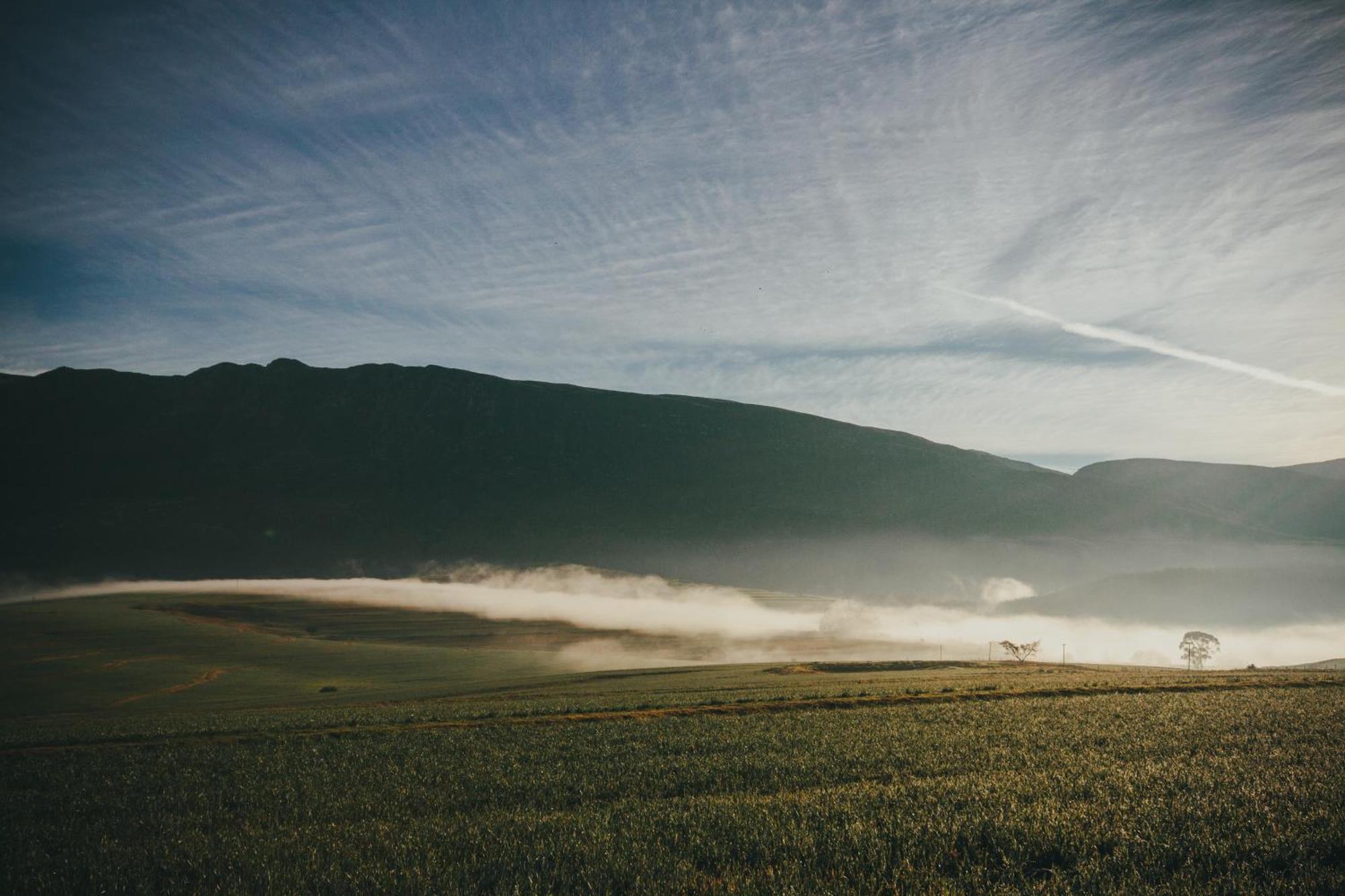 Vila Appelsbosch Guest Farm Swellendam Exteriér fotografie