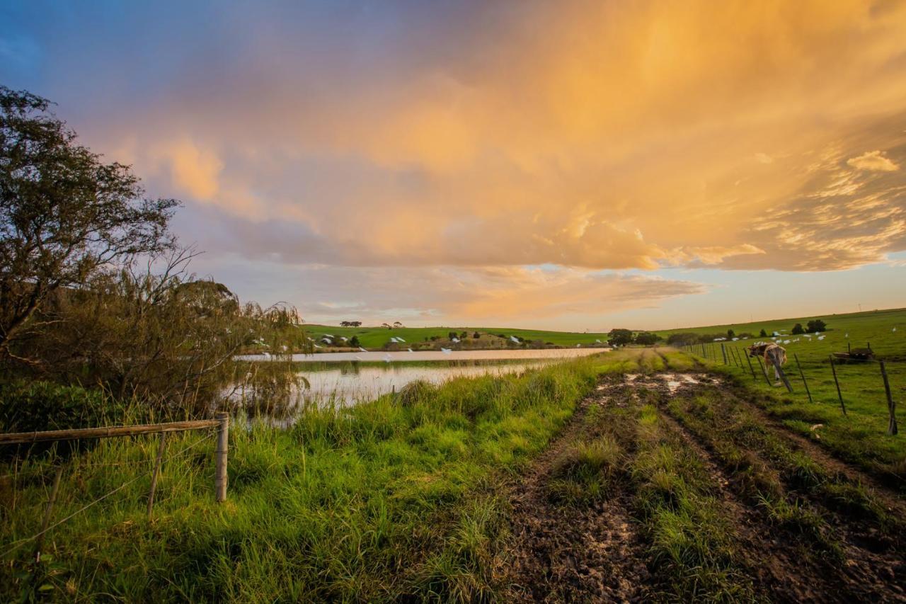 Vila Appelsbosch Guest Farm Swellendam Exteriér fotografie