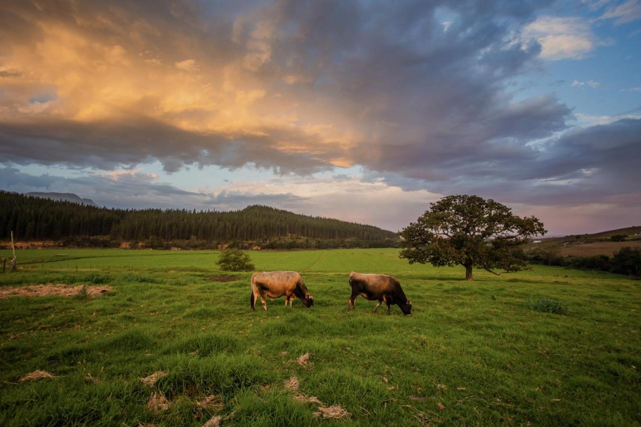 Vila Appelsbosch Guest Farm Swellendam Exteriér fotografie